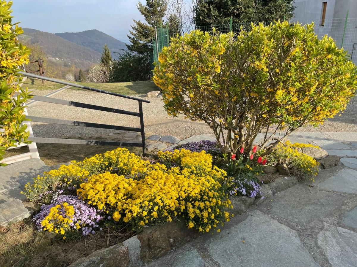 Camere Villa Lunardini Frassinetto  Экстерьер фото